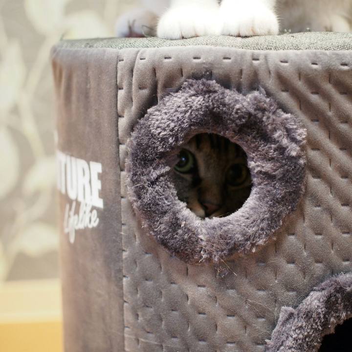 91b48d9a e423 4621 b3c7 b7df30e8fdb4 1538664274354