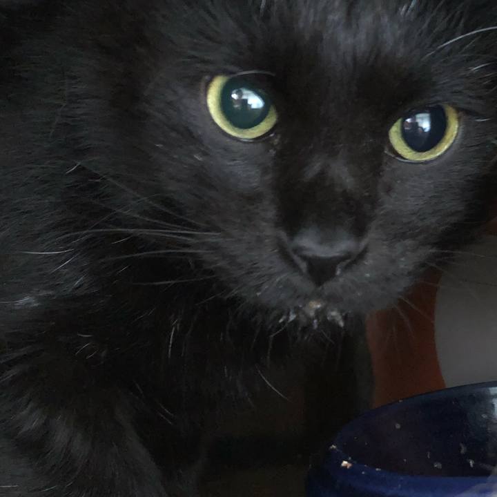 91b4d6b7 30e2 4f0a a6ca d393c58e299c 1634250976958