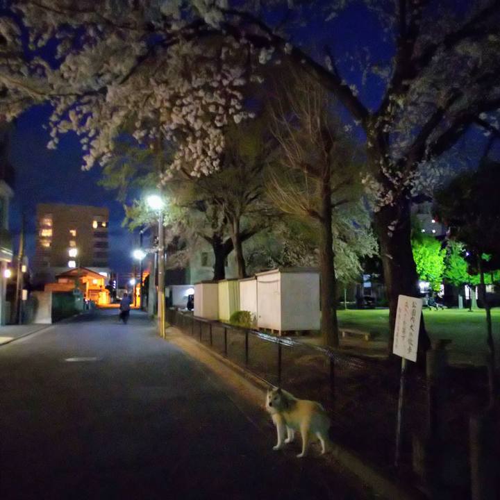 91b4e2ff 0860 486f 8d85 6e27188ef40e 1555064474291