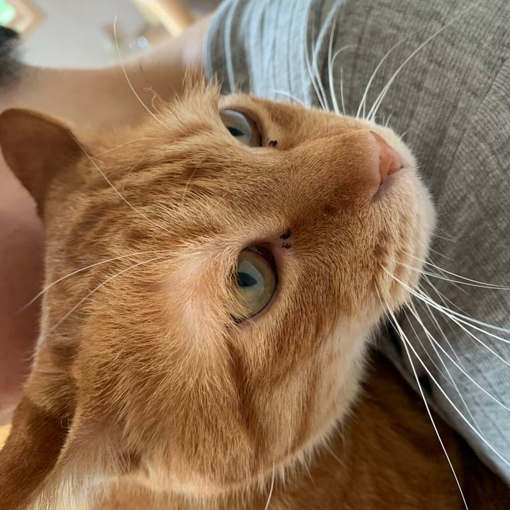 91b4e93e e050 471c 945c 29115505fc64 1591868377152