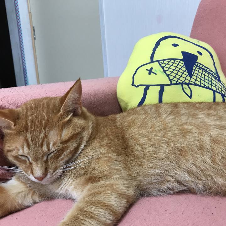 91b4f67c eaaf 45a6 815c 3d4bfdeb967d 1529560880509