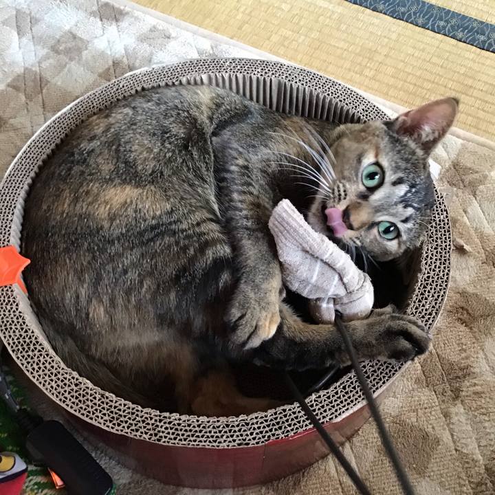 91b4f745 1652 4ecd 9411 6b3fdecb8129 1607649607643