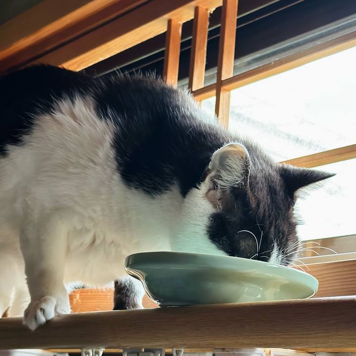 91b502c6 dd57 4ce6 b1b7 c3080e686e1c 1688871241511