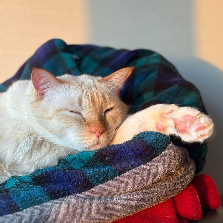 91b523ba cacb 467d 9c93 d903016ded95 1768612403119