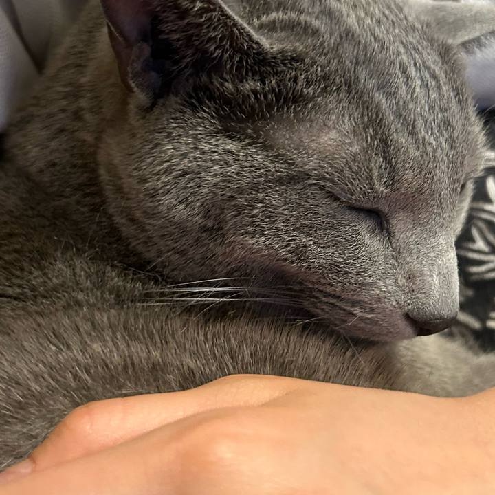 91b53e5d 7e05 440c a6e7 1cf8a6ba2663 1738234595120