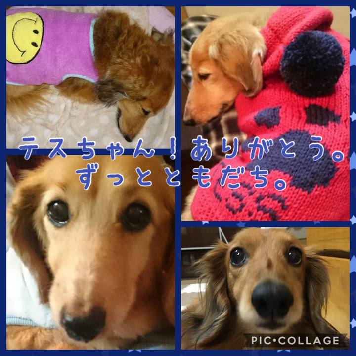 91b55d23 6900 4f16 9b46 5ad1a5cb06d6 1520342005590