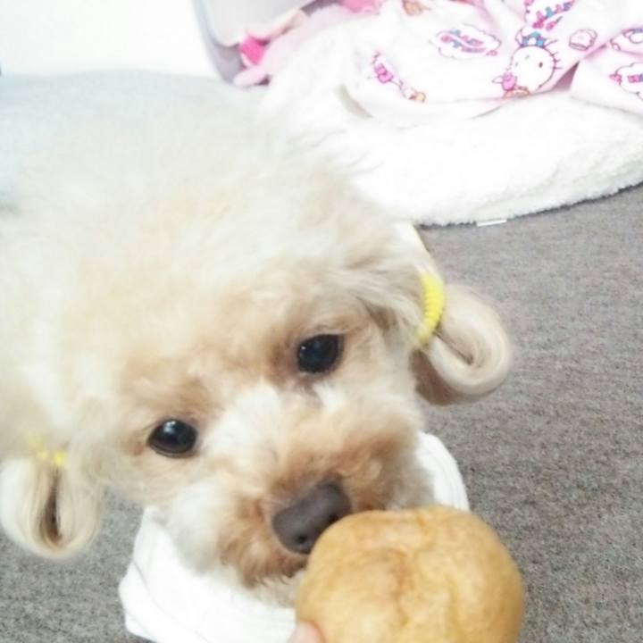 91b59d02 39f2 4667 aa5b 50fbb1bc0df3 1534754318390