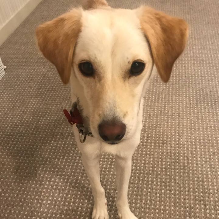 91b5add0 45d7 4130 adc7 33d100d0c19d 1532603826490