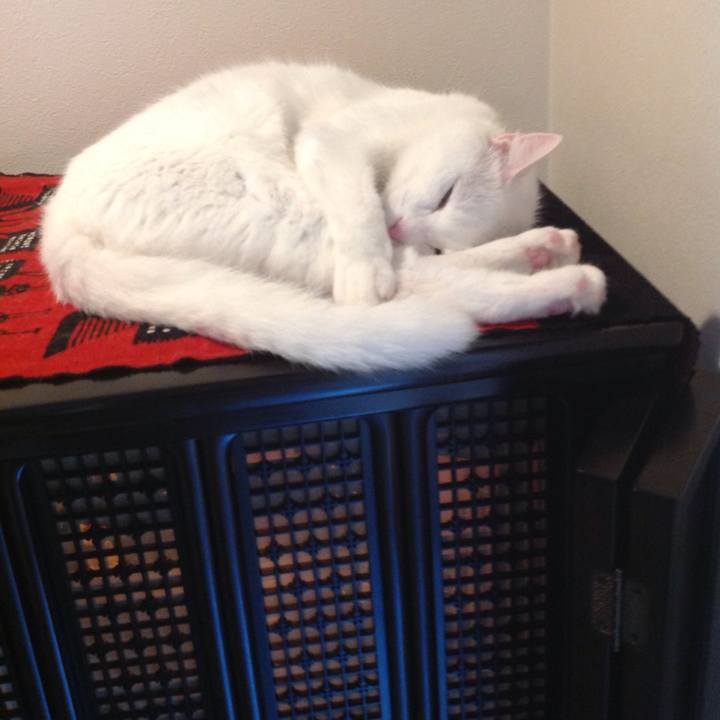 91b5c310 8262 4060 96a8 7ab51d13e17b 1630726562941