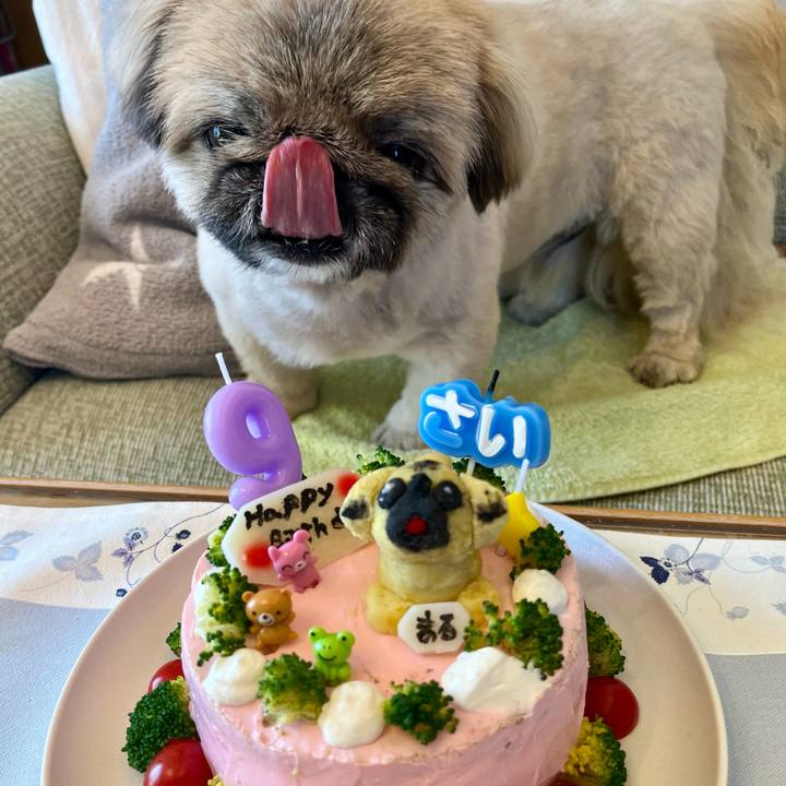 91b5d7a8 e3b8 4299 9ca1 a61ef38e173e 1728967716806