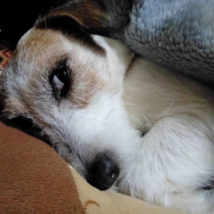 91b5ff42 2f0e 427d 8798 977447628631 1560076574947