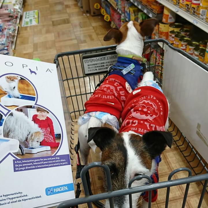 91b5ffaf e3e4 4493 b70a 5e857eb8f233 1552729890546