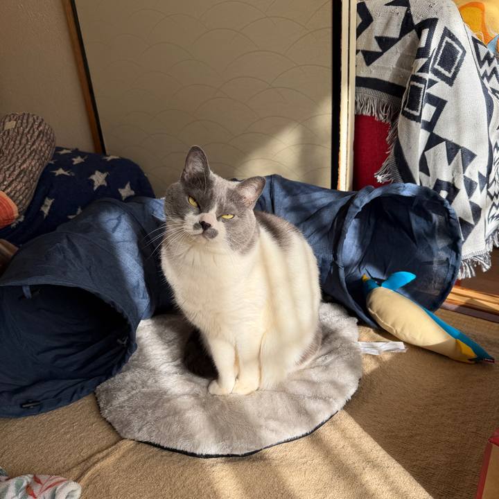 91b669c0 11d7 48ca 896d 18955b176d33 1766721582389