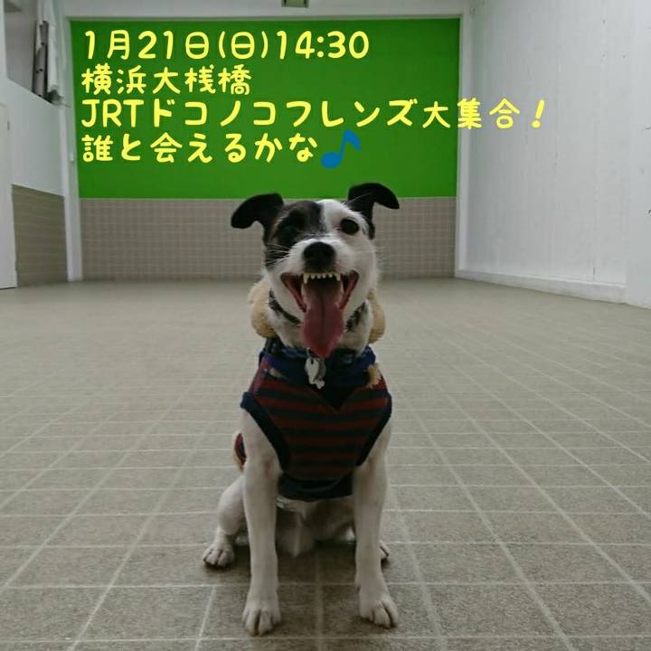 91b68e26 b863 486e bc28 58dbdb56b965 1516021572743