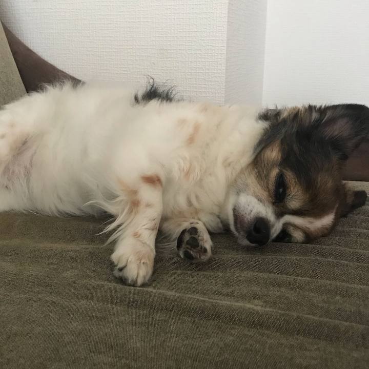 91b69b32 adea 433d 86e9 4025af953162 1597970469930