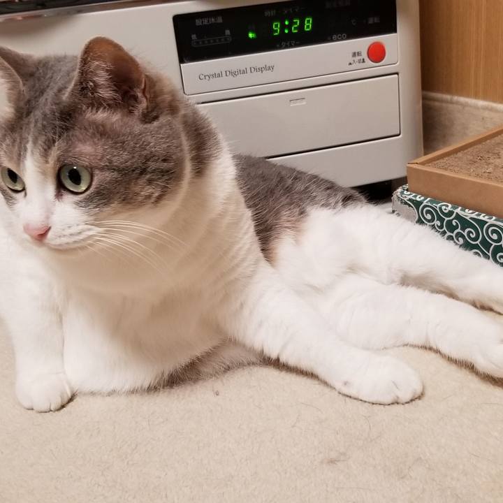 91b6a285 6654 41f6 b504 7fbc228cf6b3 1693316669282