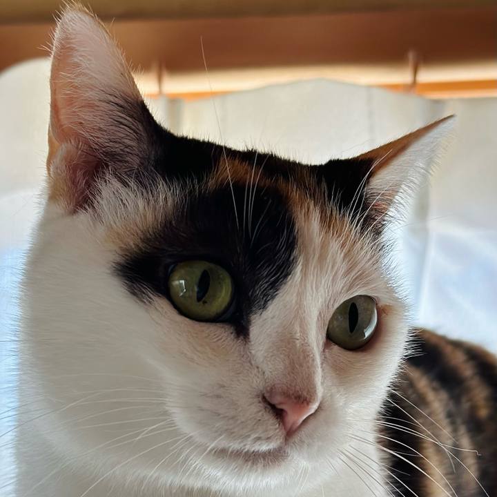 91b6a3d8 127d 4d0c b278 b91265e2b8c3 1693876958189