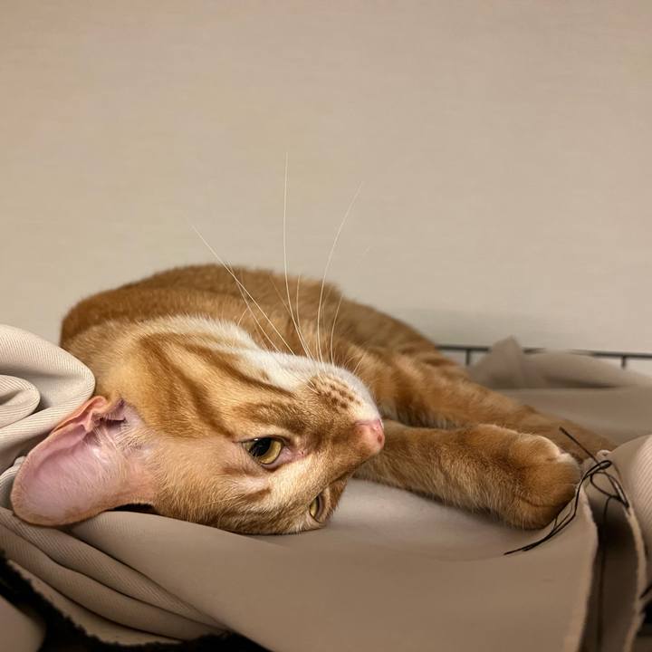 91b710c4 8cbc 4781 b1ad d7796d7b5eb0 1642767001830