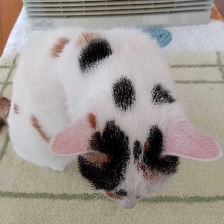 91b73f3c 6f1a 434a b273 b64c5f6e118f 1680996511057