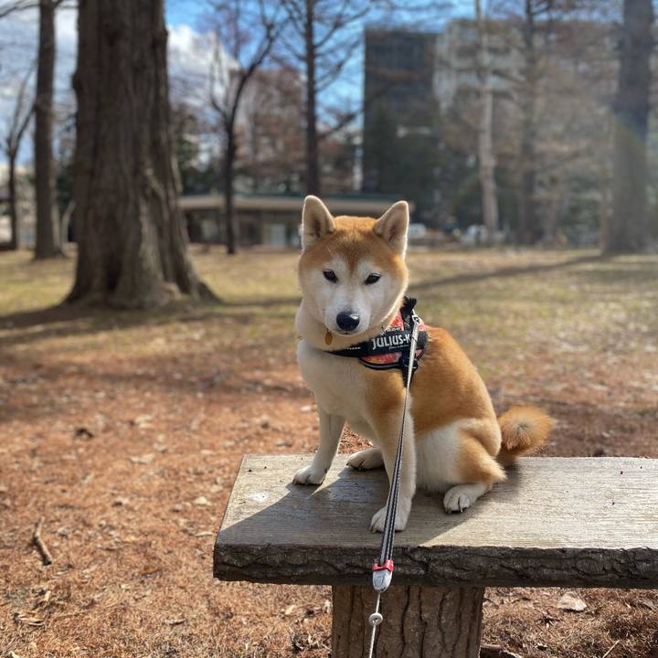 91b76cdf 2bde 4202 a35e b957e82e2db3 1617843780800