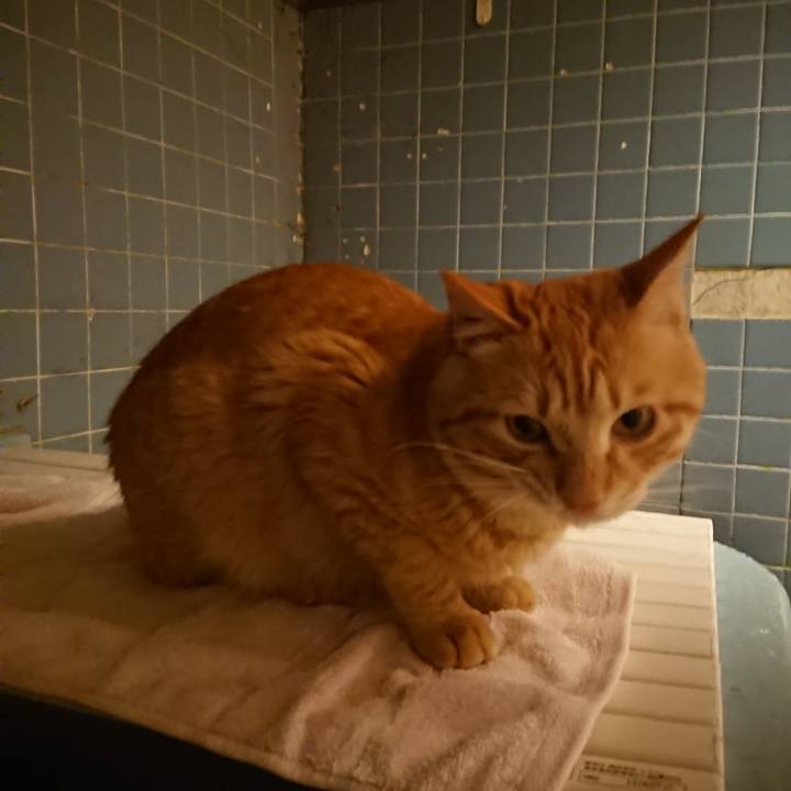 91b79d07 00e5 4a39 be35 04123083bdb0 1645787567267