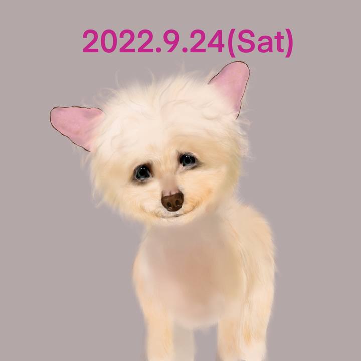 91b7bf4f 8ba8 4b0c 8401 81525e24bf5b 1664024070039