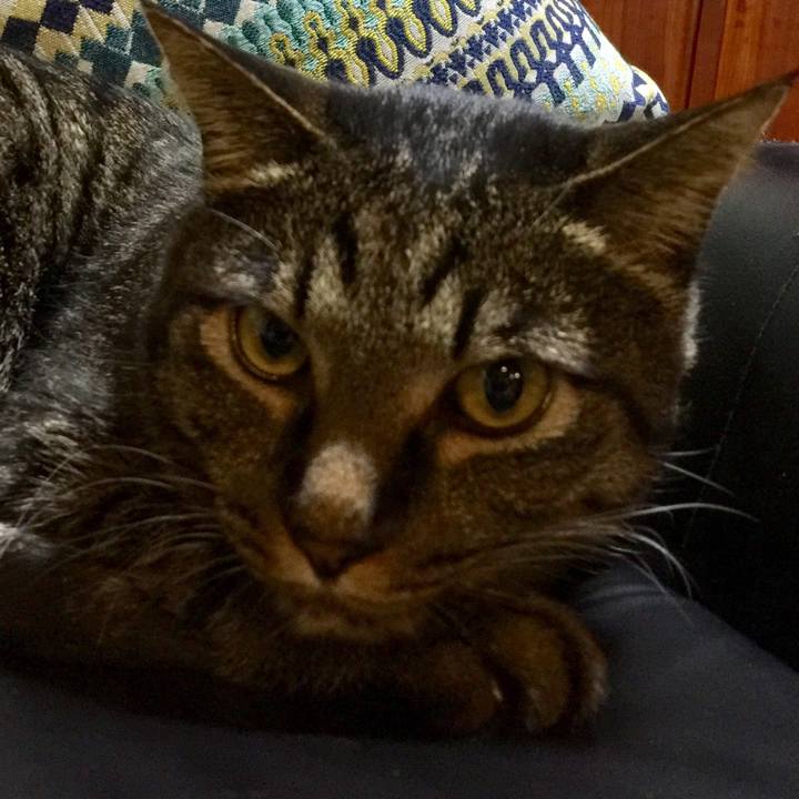 91b7d048 44eb 4bf7 bed8 7263ac3407b5 1524563284838