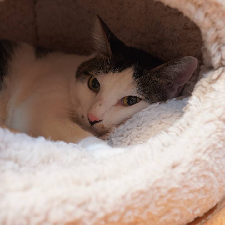 91b7d1b2 c5b7 4924 a14a f1c4e6bb87a7 1597801008630