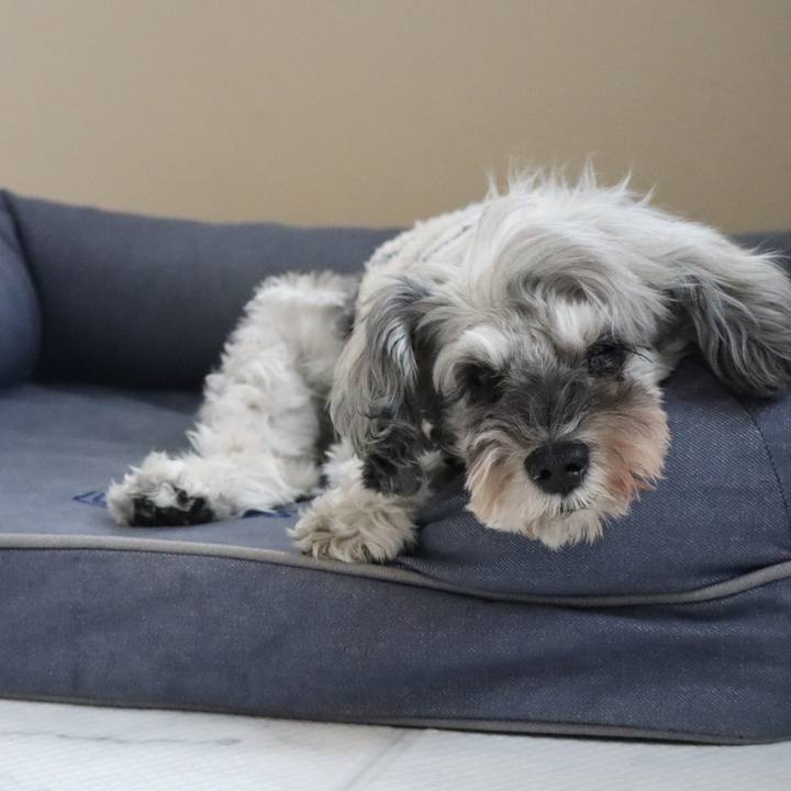 91b7f831 338b 4522 a0c8 38ed458a5a13 1764733609837