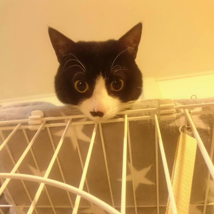 91b80676 e5f2 42ca 9d55 8a4f0dd9a19f 1513516595352