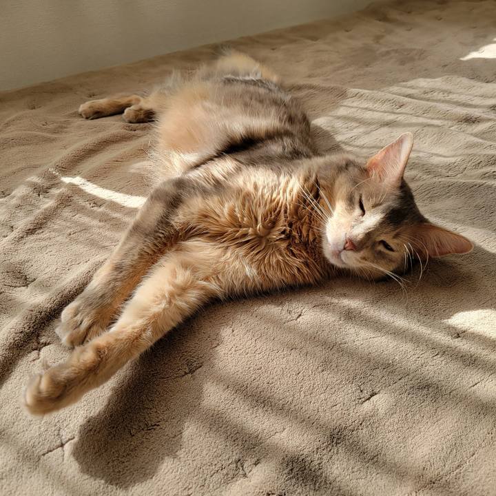 91b81040 0196 433e b026 c06cb109b5c7 1674169178910