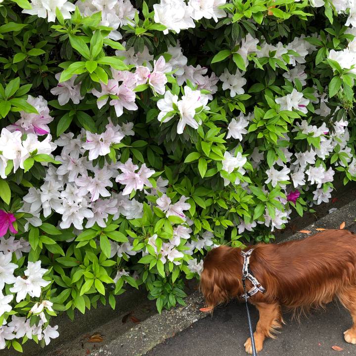 91b82afd 07b1 4de4 bccb 57493d0f3f97 1588724942926