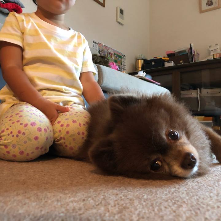 91b857a1 6cf7 4fcc 9e82 6a489e0f755c 1631145991658