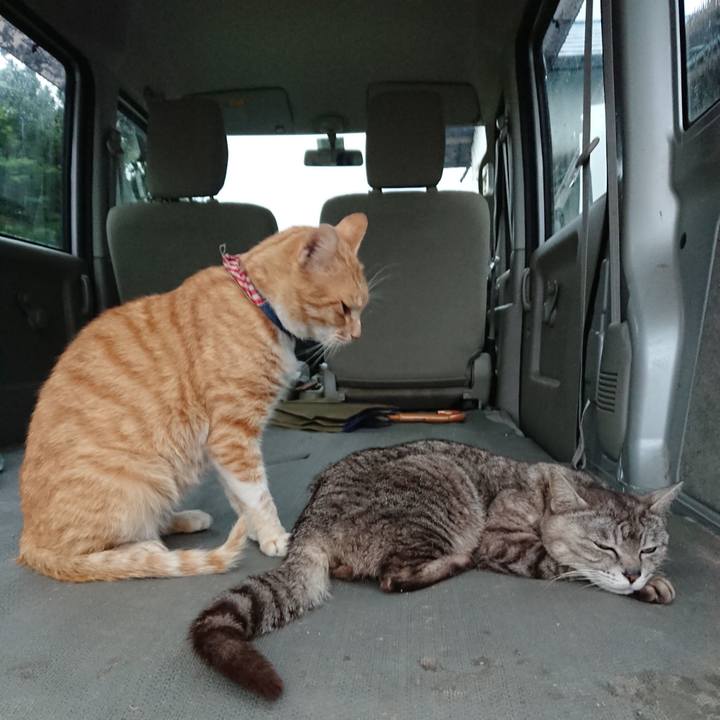 91b87ffd d3c1 4a1e 8a9a deed98ebb89b 1561627108563