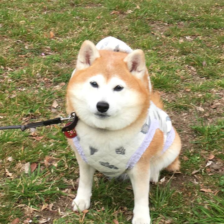 91b8a1d8 3e04 473b aef8 97549ddf8623 1553581031283