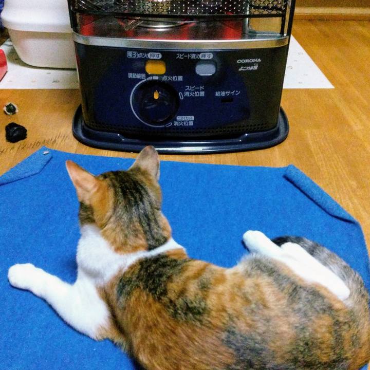 91b8af3e 7417 4296 a0c0 9f42e85f72c1 1548762477041