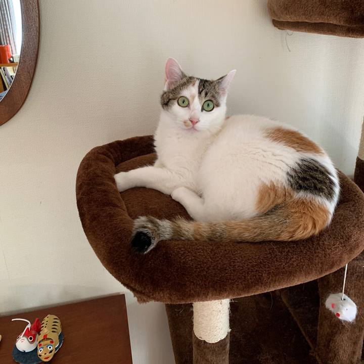 91b8c297 aeb6 46fb 9cec ef1f8656b455 1618647438323