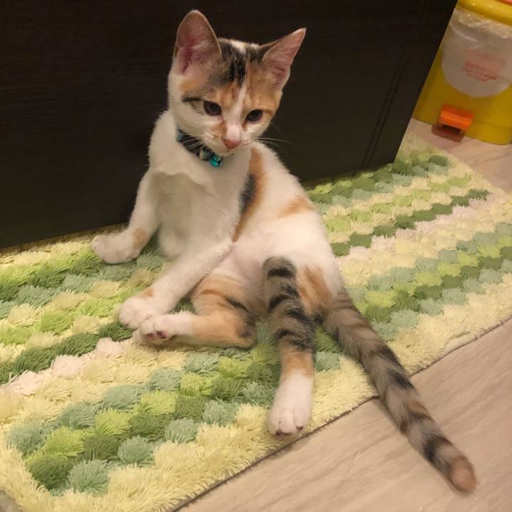 91b91343 4e3b 4c92 908b 3b4973ce753c 1564838386518