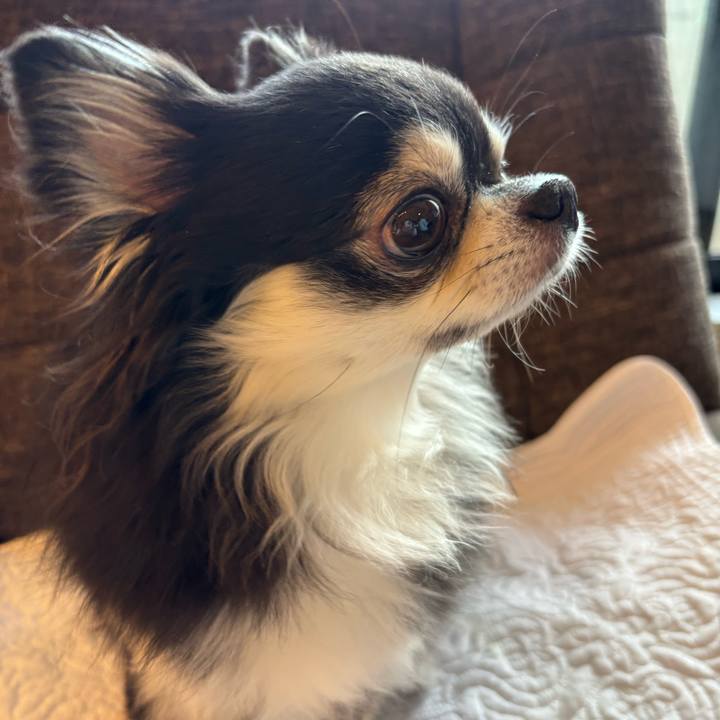 91b9363c 816c 4cb0 8429 136d3790537d 1758989479491