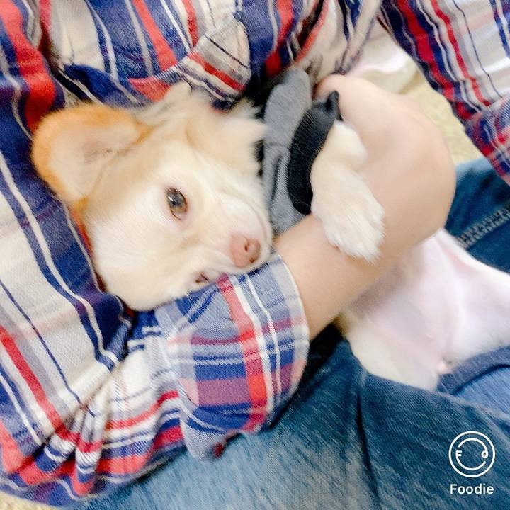 91b93b3e 9980 41d1 b08c 5faf4a6bb5b0 1600397029767