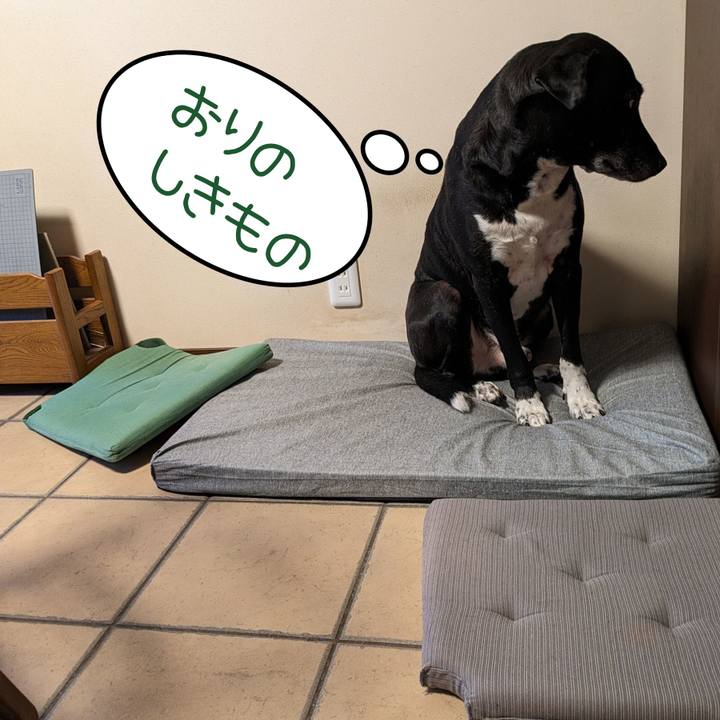 91b9e0a5 6d7c 4d13 9965 8f01154a73bd 1709981356020