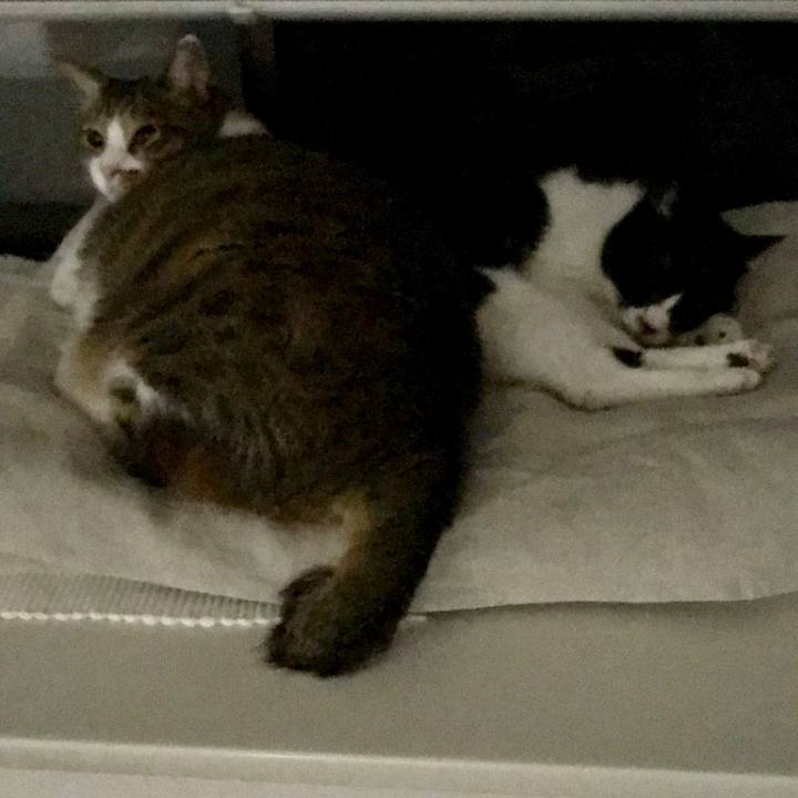 91b9f48d 3ef3 4f6c 8dc1 a1c374bda9b7 1568691853074