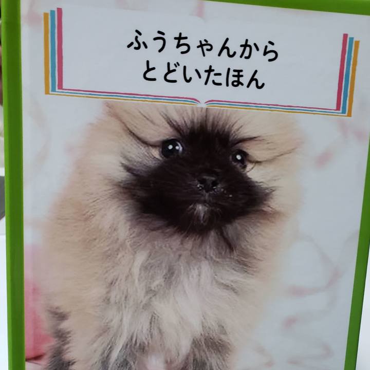 91ba07ff 1d78 423f a371 58f69b59329a 1635334408060