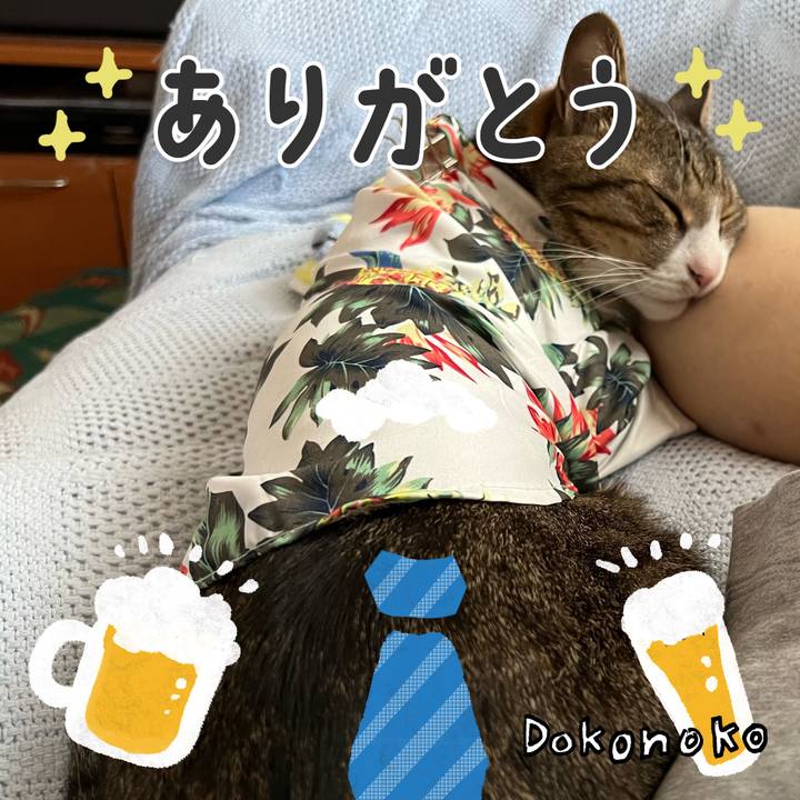 91ba0909 f1c0 45b8 a450 96d4f5bd9f7c 1718542343994