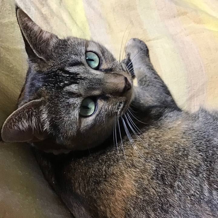 91ba24a7 8c0b 412f bb18 ea0d8fab93fd 1667476021544