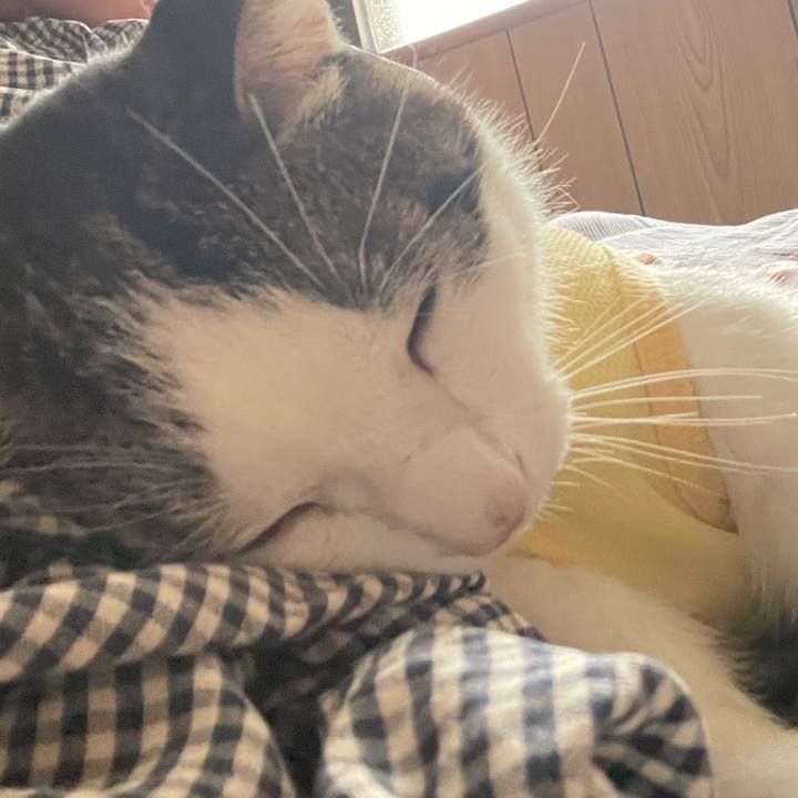 91ba58b6 9d1e 4faf ad9d 3a5868b56cc8 1774353482967