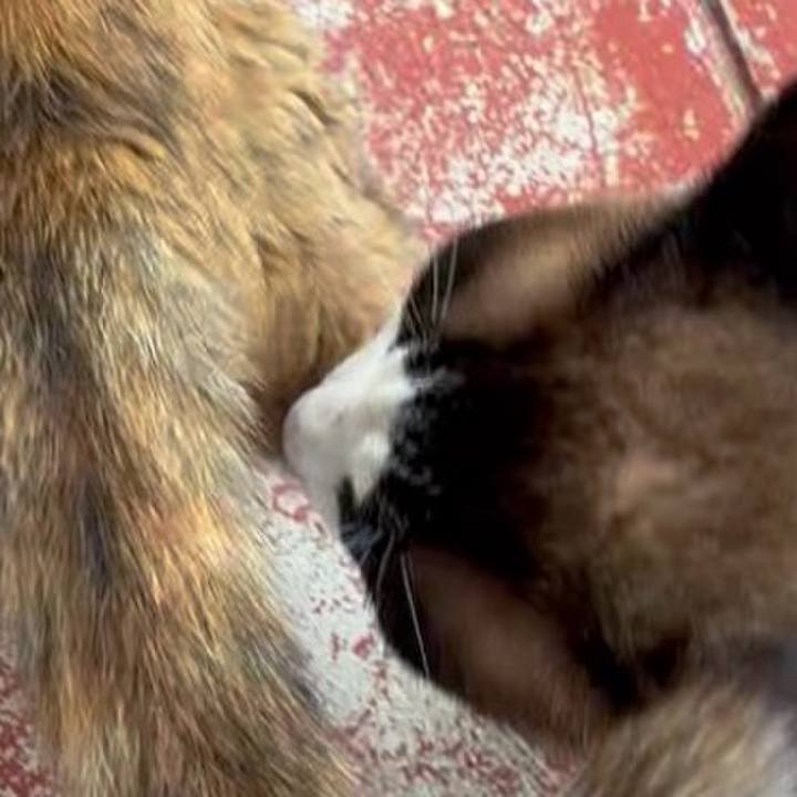 91ba6953 e82c 4f96 b71e 0a73c2f2b747 1747207451923