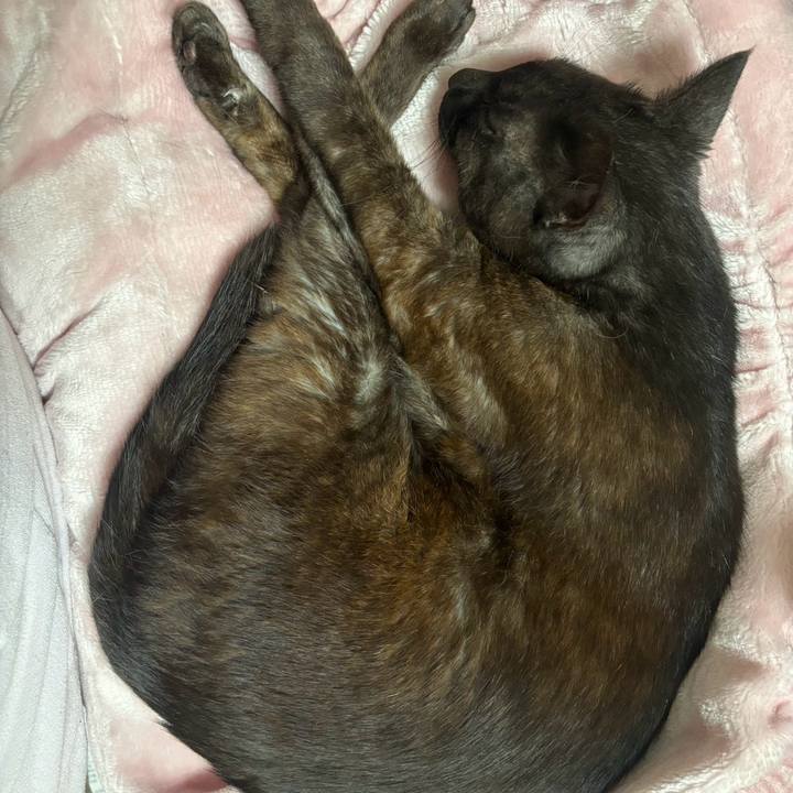 91ba7dec d3eb 459b 9eb1 922e797b8b25 1713651717913