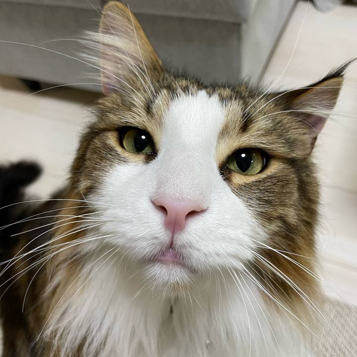 91ba91d8 4df4 4438 a950 1d9d391e0c7b 1678130201832