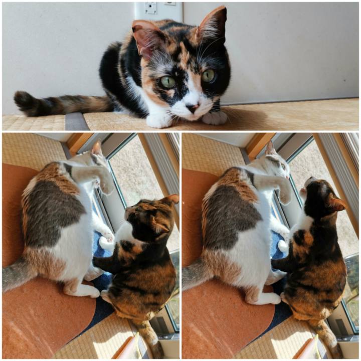 91baa2a8 e886 43d0 9d1e 9c2d219f44b8 1652620108909